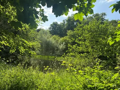 Naturlandschaft in der Nähe des Ferienhauses