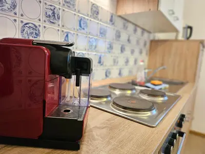 Küche/Küchenzeile in der Unterkunft Ferienwohnung Große Bergluft Hahnenklee
