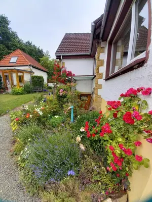 Ein Garten an der Unterkunft Elfenhäuschen mit 3 DTV Sternen ausgezeichnet