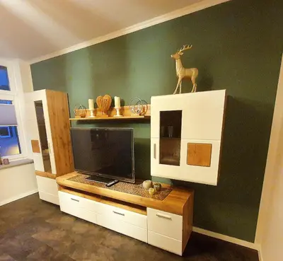 TV/Unterhaltungsangebot in der Unterkunft Ferienwohnung ODIN, FREYA & THOR