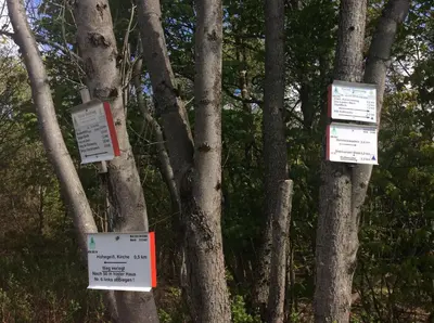 Naturlandschaft in der Nähe der Ferienwohnung