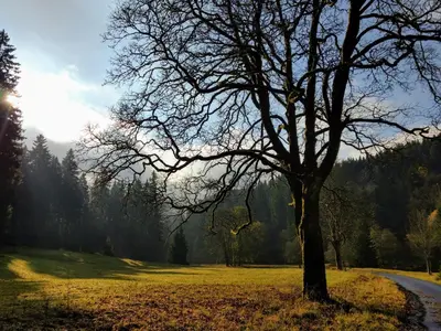 Naturlandschaft in der Nähe der Ferienwohnung