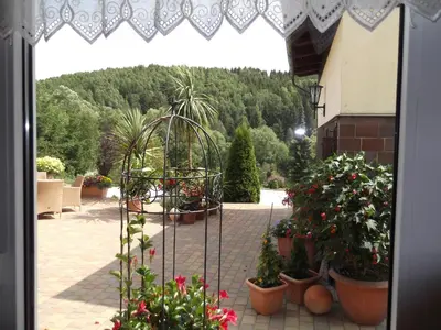 Ein Garten an der Unterkunft Pension Waldhof