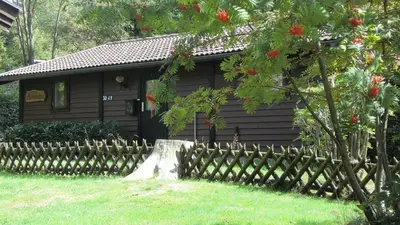 Ein Garten an der Unterkunft Ferienhaus Kamin