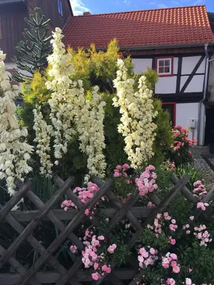 Ein Garten an der Unterkunft Gesindehaus Bornecke
