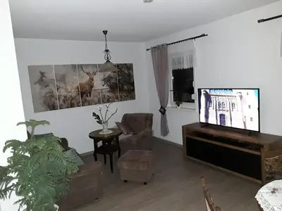 TV/Unterhaltungsangebot in der Unterkunft Ferienhaus am Riesenberg