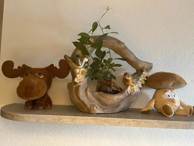 Tiere in der Ferienwohnung oder in der Nähe