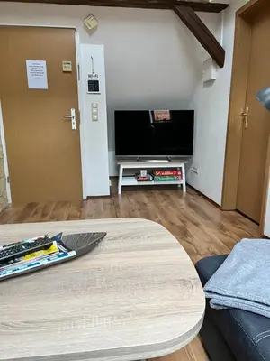 TV/Unterhaltungsangebot in der Unterkunft Ferienwohnung Brockenblick