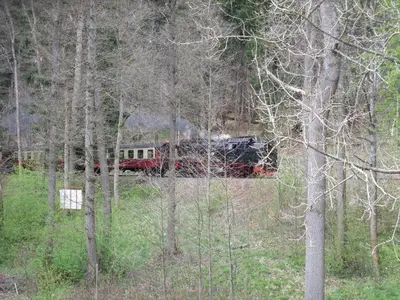 Naturlandschaft in der Nähe der Ferienwohnung