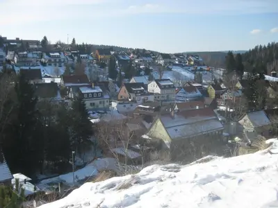 Tanne Altenau im Winter