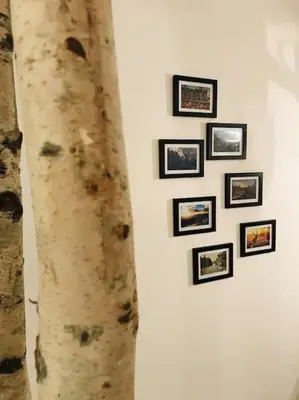 Grundriss der Unterkunft Harzchalet Emma Braunlage