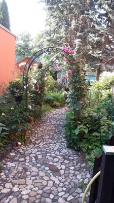 Ein Garten an der Unterkunft 