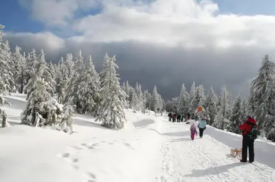 Hotel Grüne Tanne Mandelholz im Winter