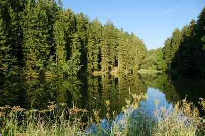 Naturlandschaft in der Nähe der Ferienwohnung