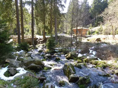 Naturlandschaft in der Nähe der Pension