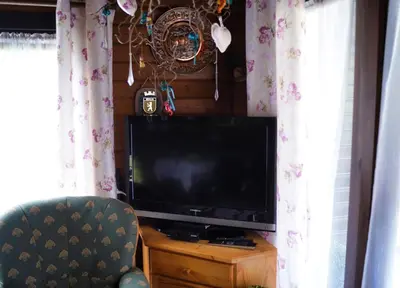 TV/Unterhaltungsangebot in der Unterkunft Ferienblockhaus Harzidyll