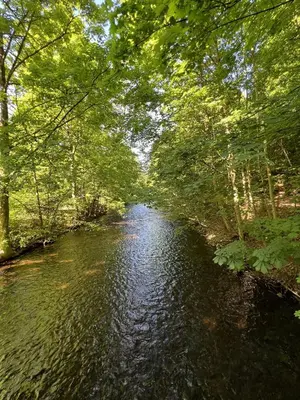 Naturlandschaft in der Nähe des Bed & Breakfasts