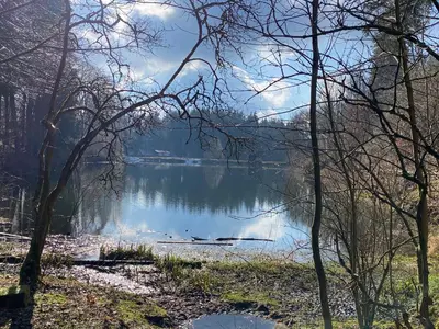 Naturlandschaft in der Nähe der Ferienwohnung