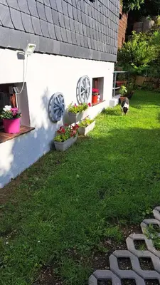 Ein Garten an der Unterkunft Ferienwohnung Friedrichsruh