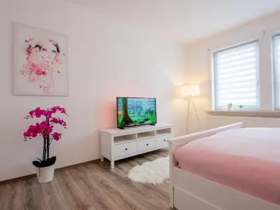 TV/Unterhaltungsangebot in der Unterkunft EUPHORAS - Modern eingerichtete Ferienwohnung mit 3 Schlafzimmern im Harz