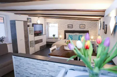 TV/Unterhaltungsangebot in der Unterkunft Schlossweg-Apartment
