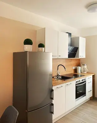 Küche/Küchenzeile in der Unterkunft Ferienapartments HarzZeit