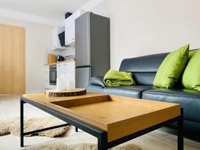 Küche/Küchenzeile in der Unterkunft Ferienapartments HarzZeit
