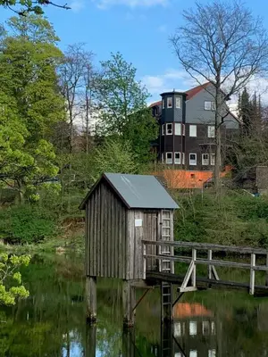 Naturlandschaft in der Nähe der Ferienwohnung