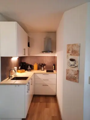 Küche/Küchenzeile in der Unterkunft Ferienwohnung Schneeweißchen an der Therme