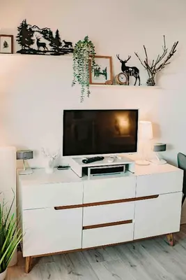 TV/Unterhaltungsangebot in der Unterkunft Haus am See Harzflair