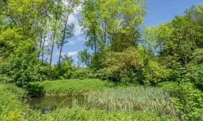 Naturlandschaft in der Nähe des Ferienhauses