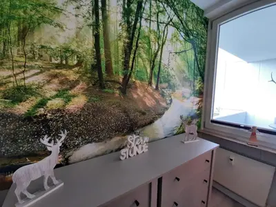 Naturlandschaft in der Nähe der Ferienwohnung