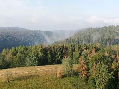 Naturlandschaft in der Nähe der Ferienwohnung