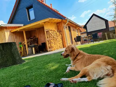 Haustiere von Gästen der Unterkunft Ferienhaus Darlingerode