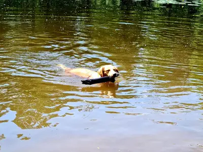 Blick auf einen Fluss in der Nähe des Ferienhauses