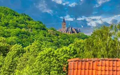 Naturlandschaft in der Nähe der Ferienwohnung