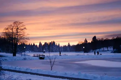 Hotel Waldrausch im Winter
