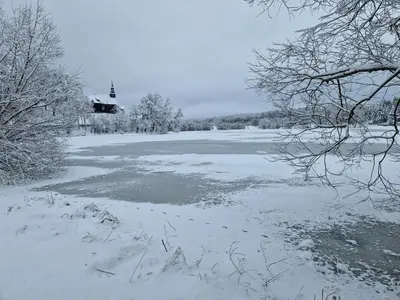 Ferienwohnung Waldblick im Winter