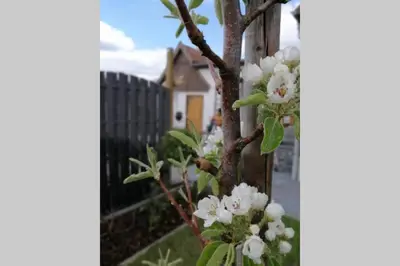 Ein Garten an der Unterkunft Harzhaus Ida