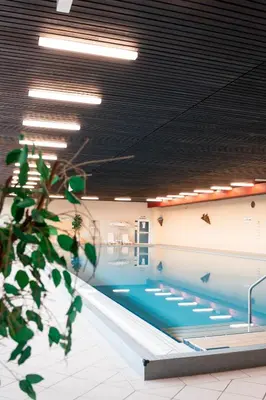 Der Swimmingpool an oder in der Nähe von Penthouse Harz-Traum 372