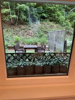 Ein Garten an der Unterkunft International 6