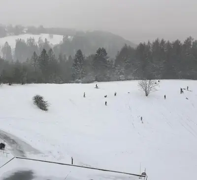 Harz-Fewo KY487 im Winter