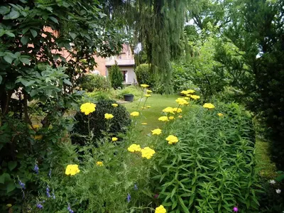 Ein Garten an der Unterkunft Ferienwohnung Markert
