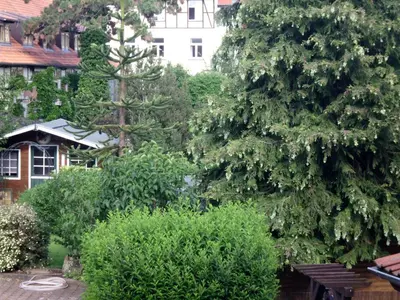 Ein Garten an der Unterkunft am Erxleben-Hotel