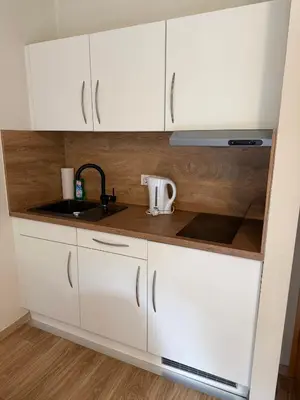 Küche/Küchenzeile in der Unterkunft Hotel Zum Klosterfischer