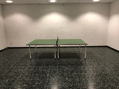 Tischtennis in der Unterkunft Ferienwohnung Linda incl Pool, Sauna & Tiefgarage oder in der Nähe