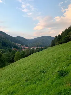 Naturlandschaft in der Nähe der Ferienwohnung
