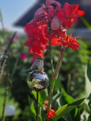 Ein Garten an der Unterkunft Ferienwohnung Relax