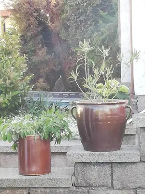 Ein Garten an der Unterkunft Studio Edeltraud zentral