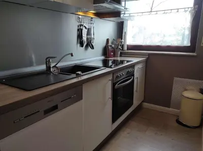 Küche/Küchenzeile in der Unterkunft Ferienwohnung Rehkitz